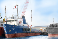 MAHRA VI