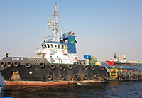 Mahra 11